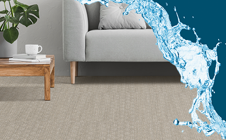 water on high fashion white carpet